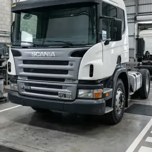 Foto de Scania P310 2019